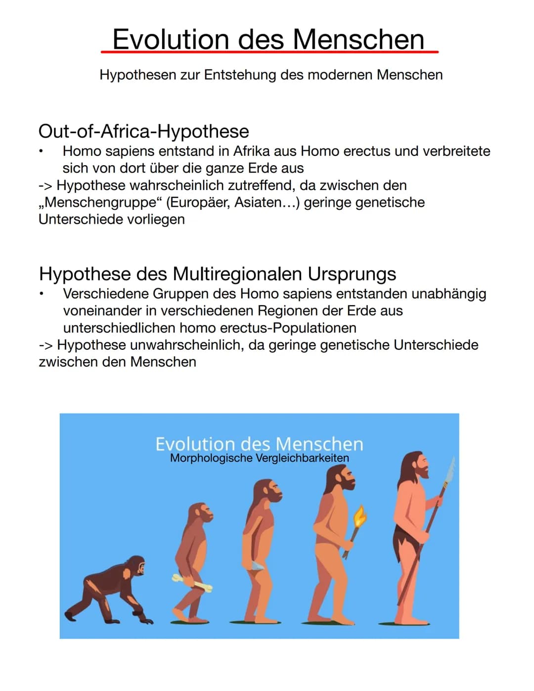 Lamarck
Inkonstanz der Arten (Veränderlichkeit der Organismen im Laufe des
Lebens)
Aktive Anpassung der Art an die Umweltbedingungen
Streben