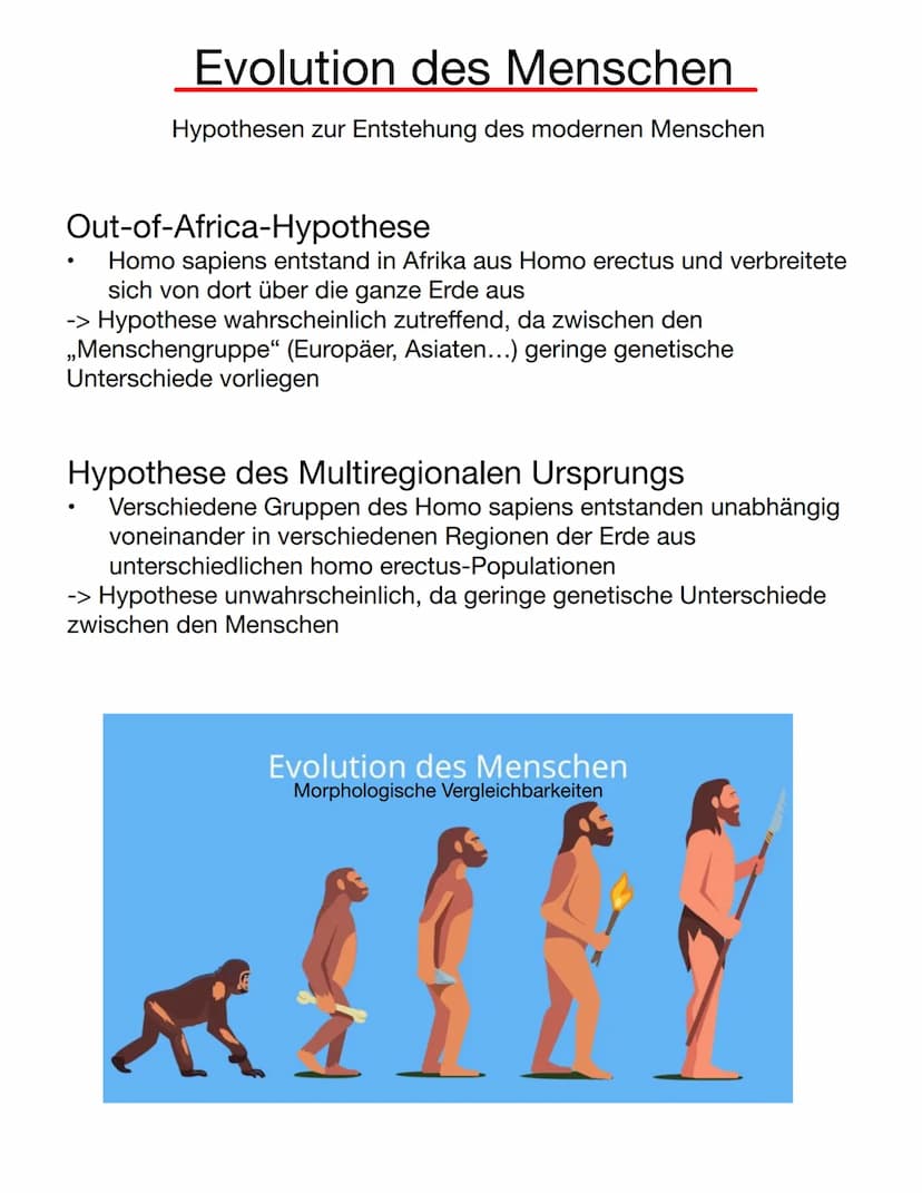 Lamarck
Inkonstanz der Arten (Veränderlichkeit der Organismen im Laufe des
Lebens)
Aktive Anpassung der Art an die Umweltbedingungen
Streben
