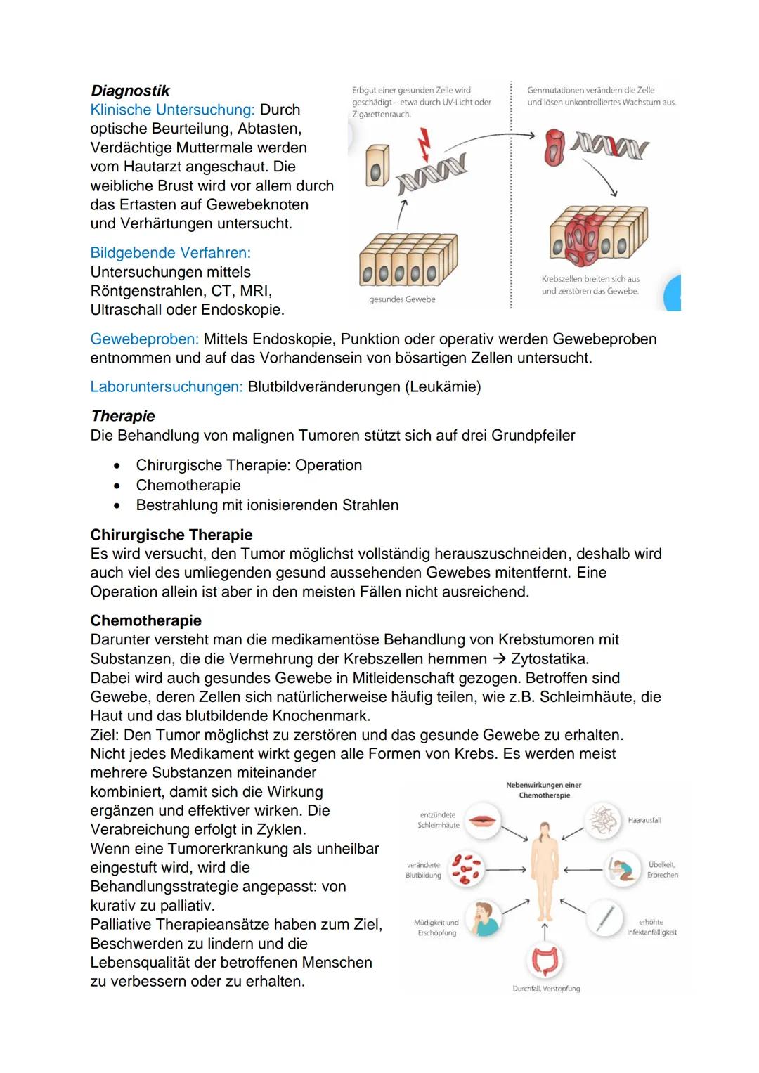 C.2 Onkologie
Onkologie
Definition: Versteht man die Lehre von der
Entstehung, dem Wachstum und der Therapie gut und bösartiger Tumore.
Grös
