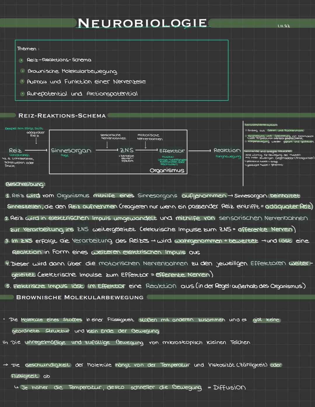 Themen:
• Reiz-Reaktions-Schema
• Brownische Molekularbewegung
• Aufbau und Funktion einer Nervenzelle
• Ruhepotential und Arctionspotential