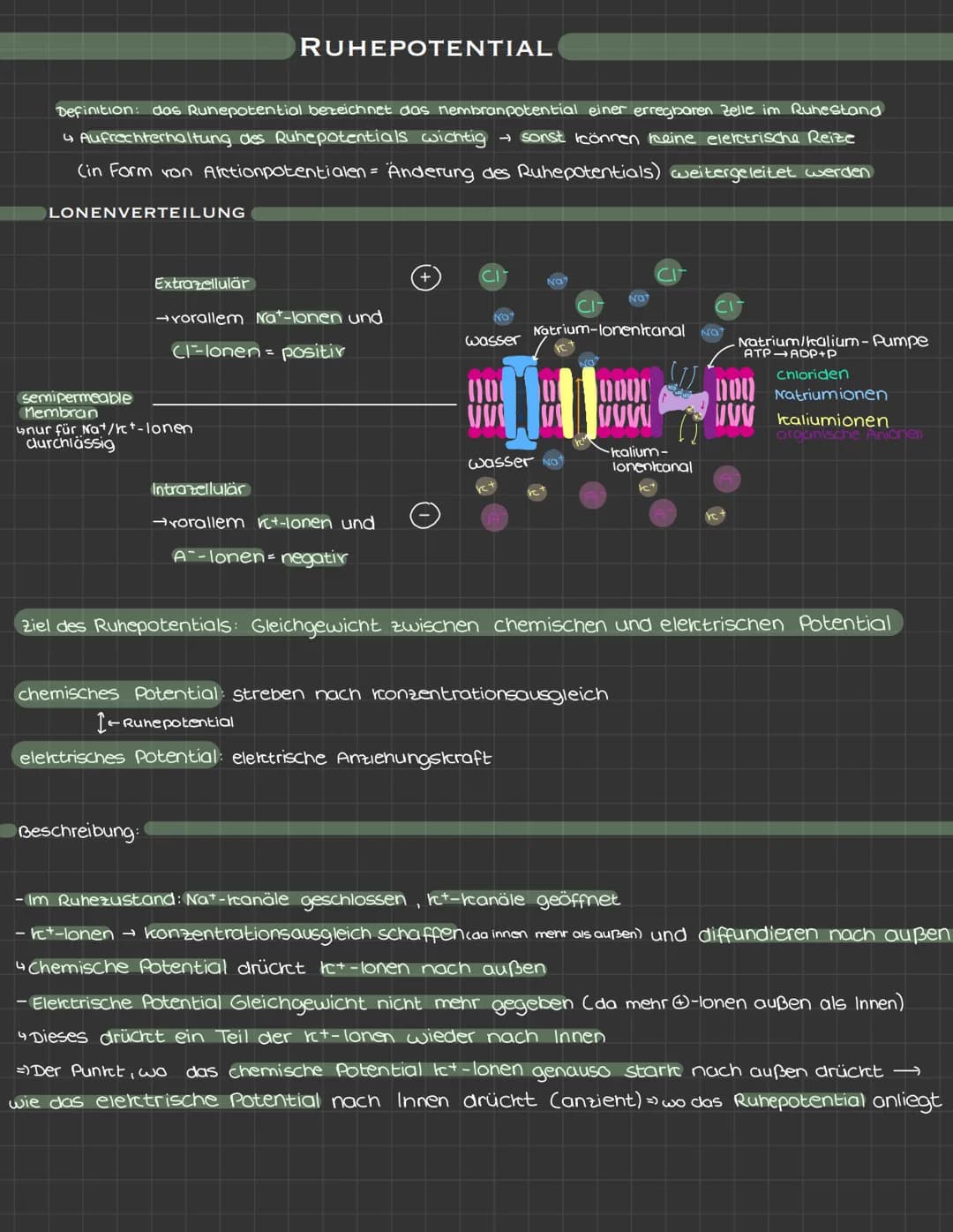 Themen:
• Reiz-Reaktions-Schema
• Brownische Molekularbewegung
• Aufbau und Funktion einer Nervenzelle
• Ruhepotential und Arctionspotential