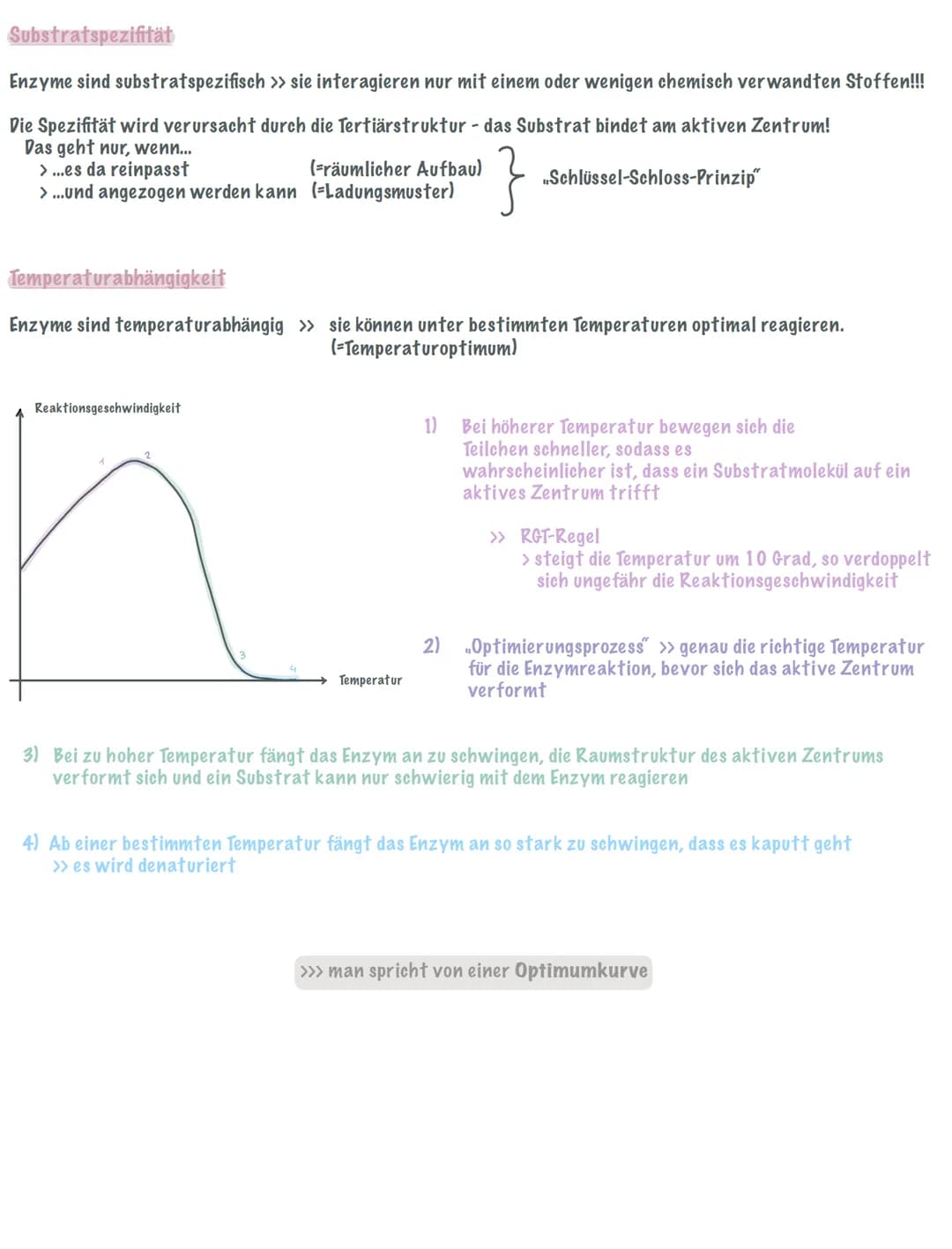 Enzyme sind Biokatalysatoren, die eine Reaktion beschleunigen, aber nicht verbraucht werden!!!
Sie setzten die Aktivierungsenergie herab und