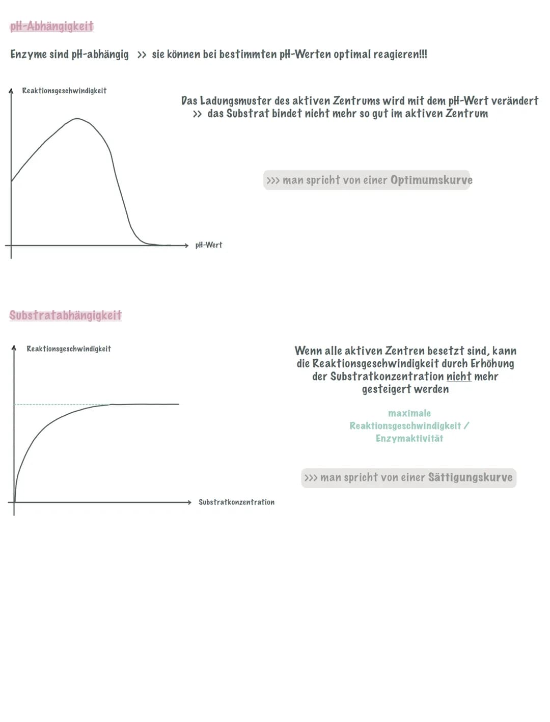 Enzyme sind Biokatalysatoren, die eine Reaktion beschleunigen, aber nicht verbraucht werden!!!
Sie setzten die Aktivierungsenergie herab und