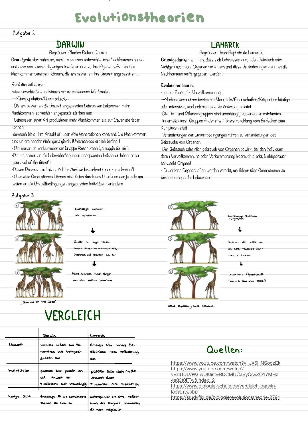 Lamarck vs. Darwin: Evolutionstheorien Vergleich - Giraffen Hals Länge und mehr