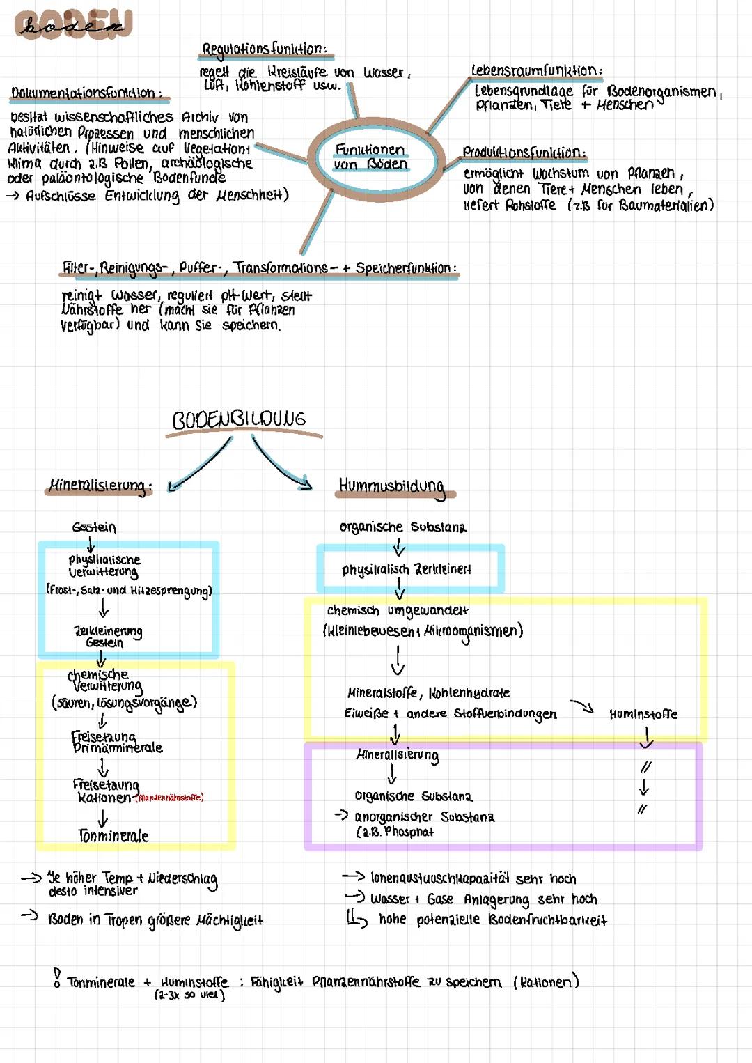 Boden (Funktion und Bildung), Bodenarten, Steppen (Trockene Mittelbreiten)