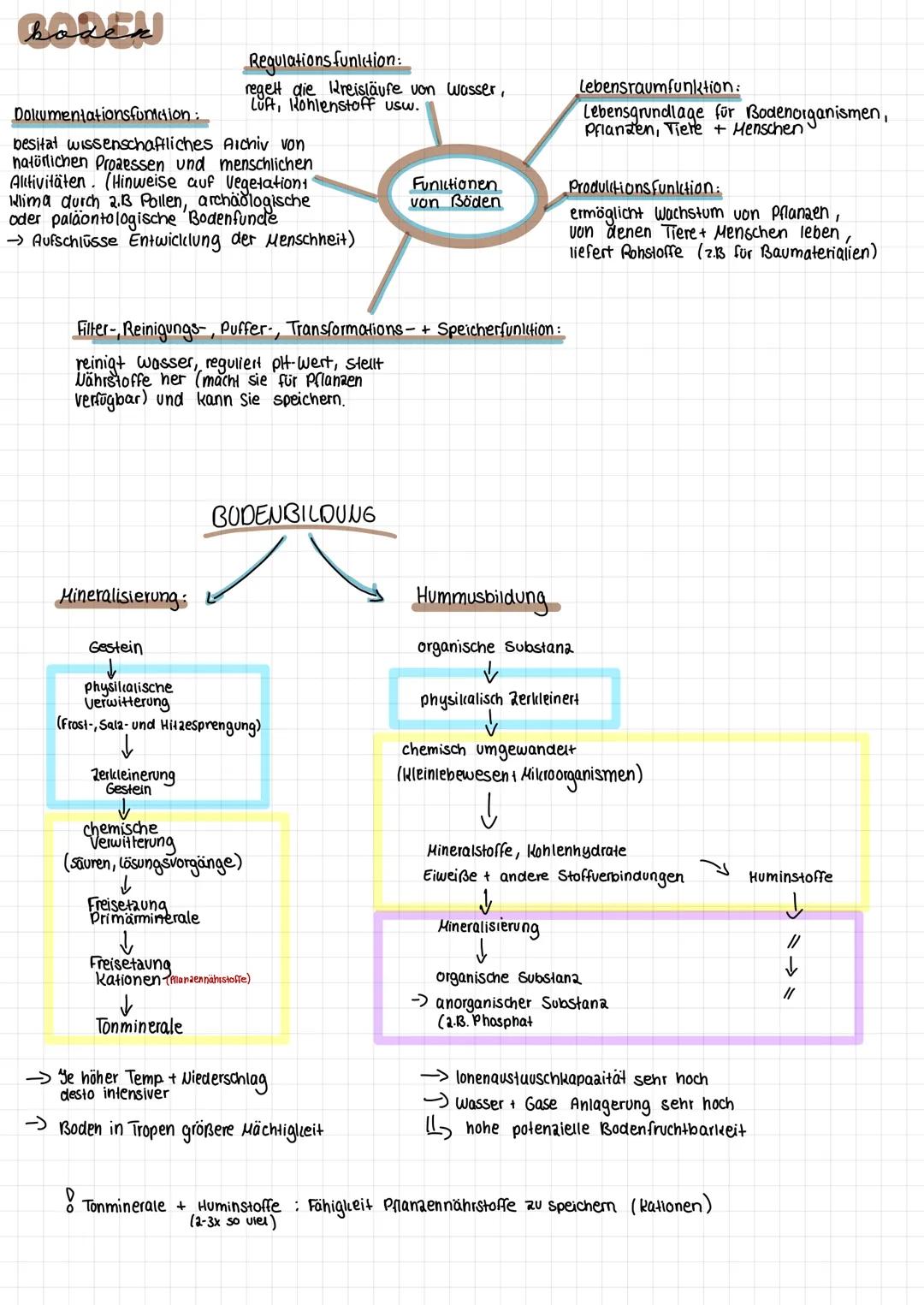 boden
Dokumentationsfunction:
besitat wissenschaftliches Archiv von
natürlichen Prozessen und menschlichen
Aktivitäten. (Hinweise auf Vegeta