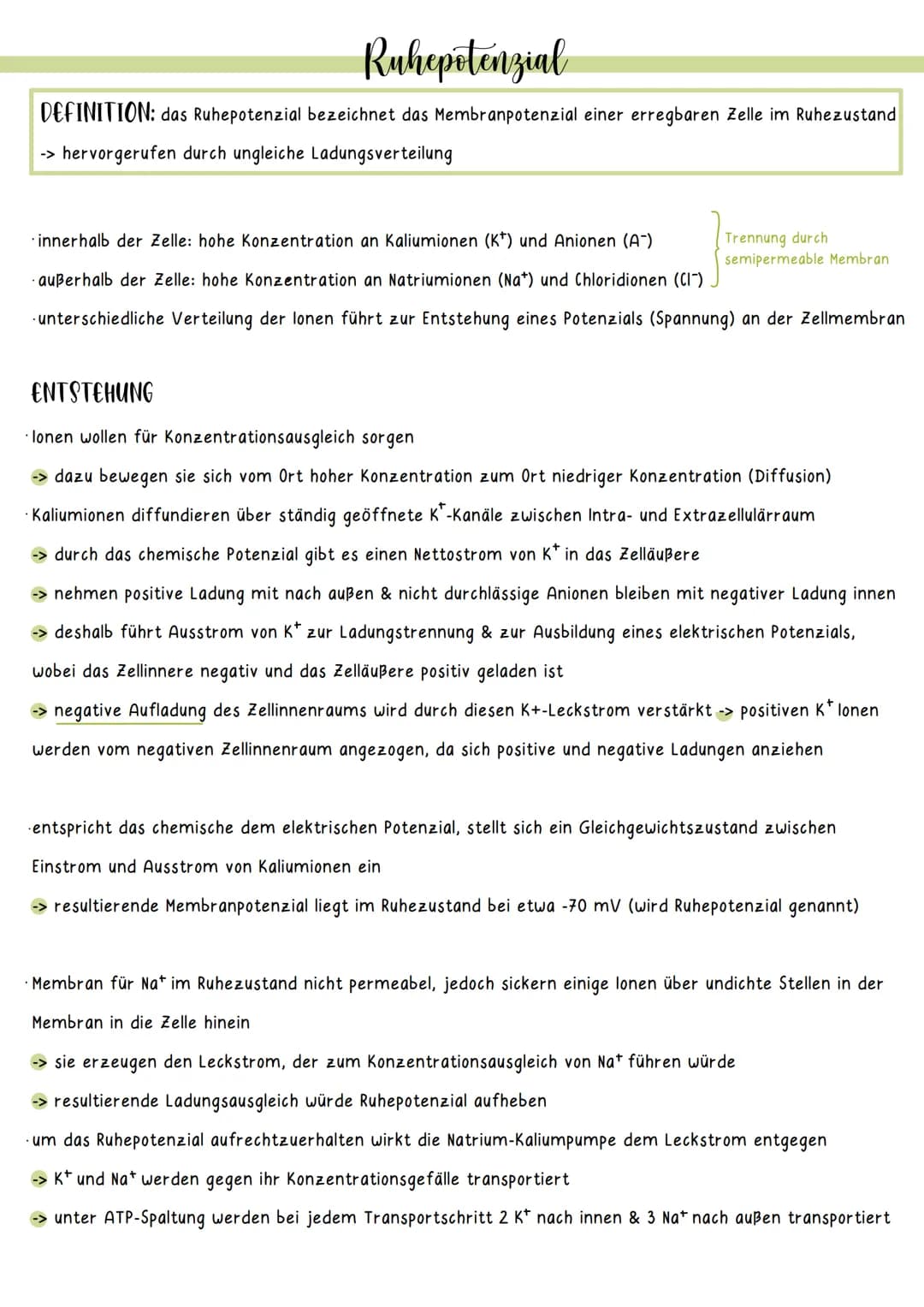 Ruhepotenzial
DEFINITION: das Ruhepotenzial bezeichnet das Membranpotenzial einer erregbaren Zelle im Ruhezustand
-> hervorgerufen durch ung