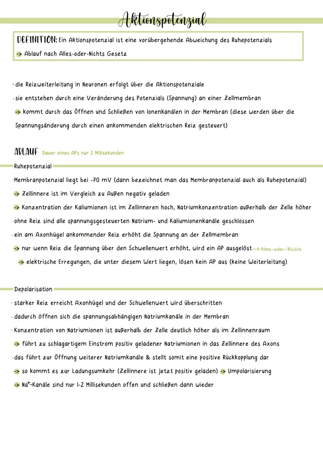 Ruhepotenzial
DEFINITION: das Ruhepotenzial bezeichnet das Membranpotenzial einer erregbaren Zelle im Ruhezustand
-> hervorgerufen durch ung