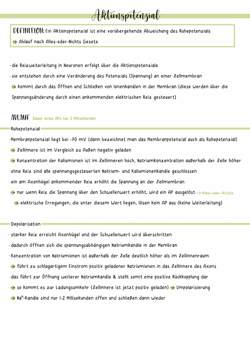 Ruhepotenzial
DEFINITION: das Ruhepotenzial bezeichnet das Membranpotenzial einer erregbaren Zelle im Ruhezustand
-> hervorgerufen durch ung