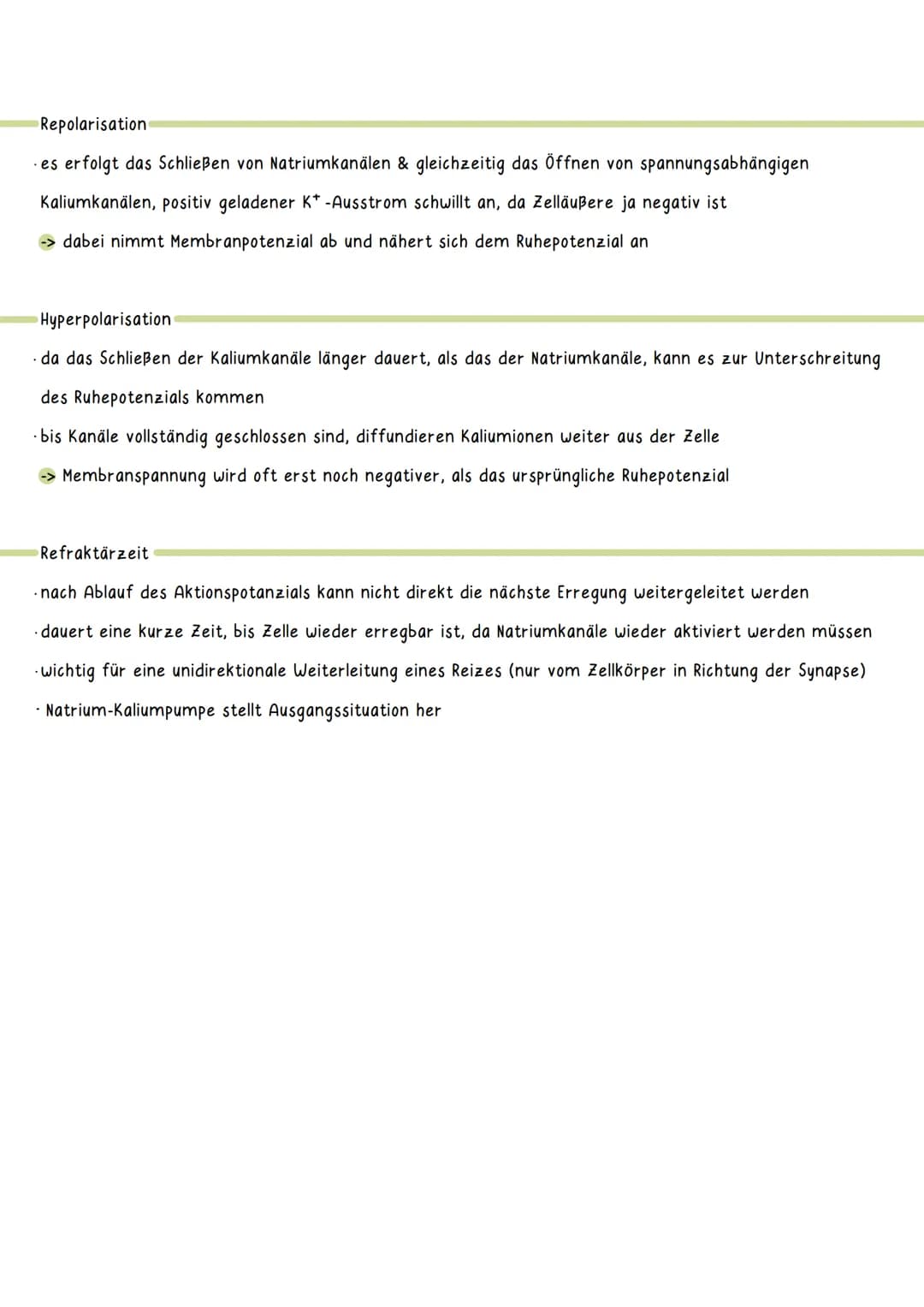 Ruhepotenzial
DEFINITION: das Ruhepotenzial bezeichnet das Membranpotenzial einer erregbaren Zelle im Ruhezustand
-> hervorgerufen durch ung