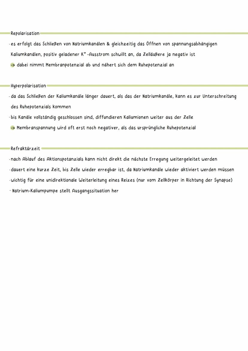 Ruhepotenzial
DEFINITION: das Ruhepotenzial bezeichnet das Membranpotenzial einer erregbaren Zelle im Ruhezustand
-> hervorgerufen durch ung
