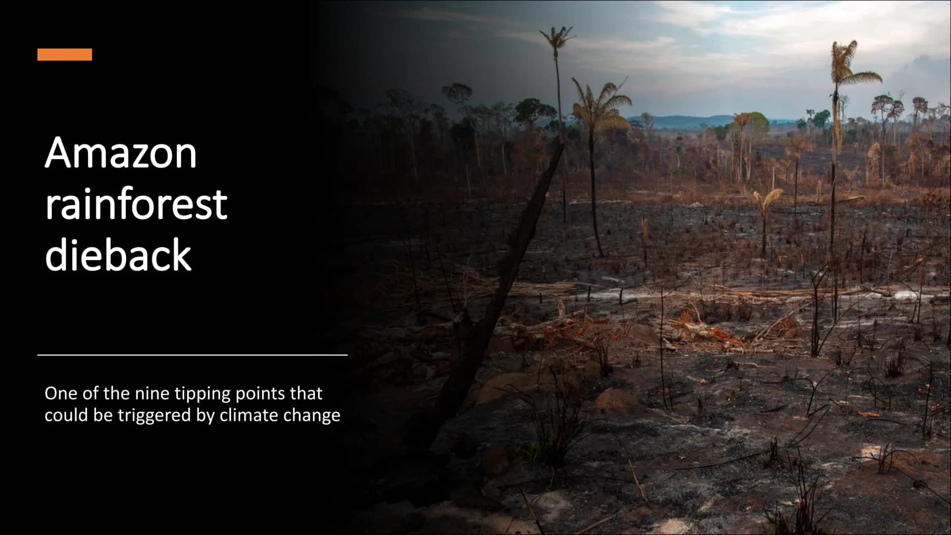 Amazon
rainforest
dieback
One of the nine tipping points that
could be triggered by climate change Table of contents
●
Facts about the tippi