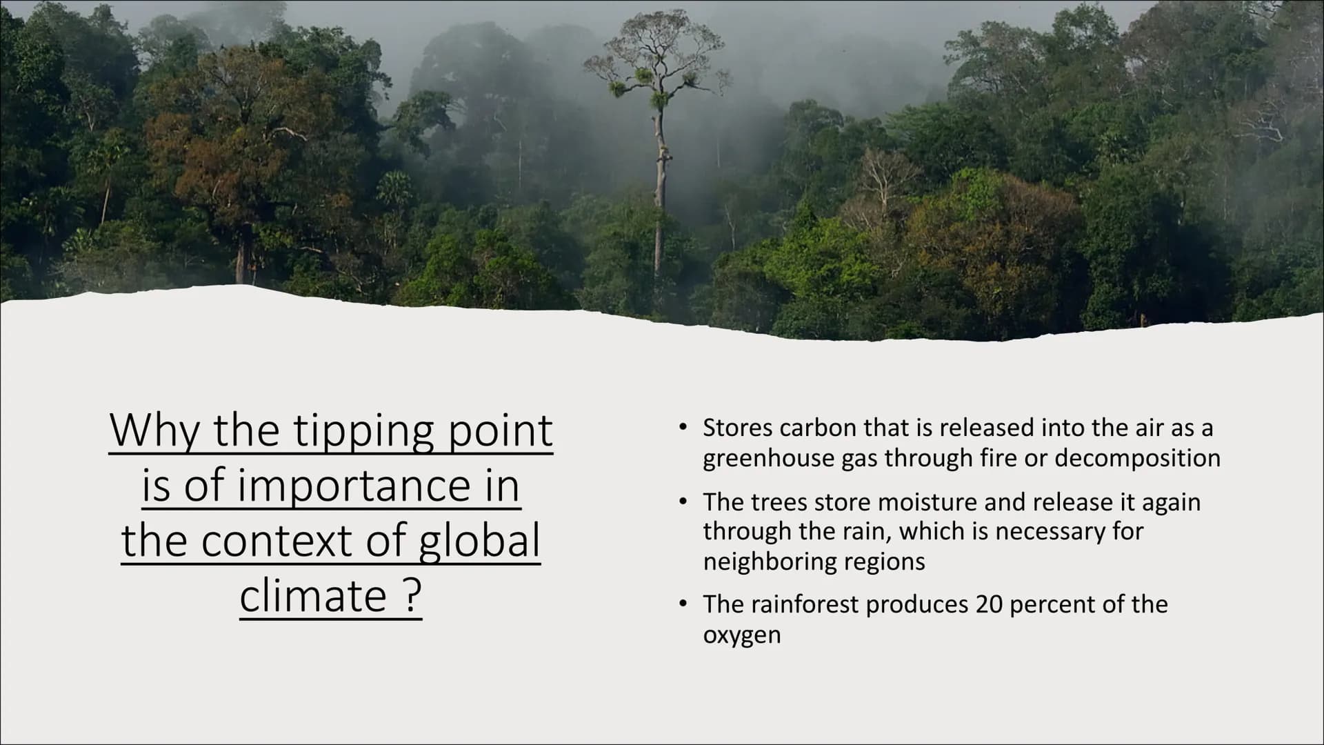 Amazon
rainforest
dieback
One of the nine tipping points that
could be triggered by climate change Table of contents
●
Facts about the tippi