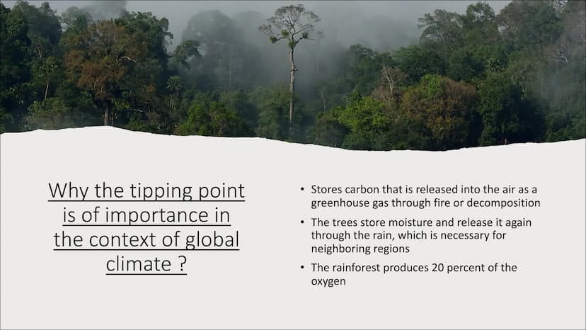 Amazon
rainforest
dieback
One of the nine tipping points that
could be triggered by climate change Table of contents
●
Facts about the tippi