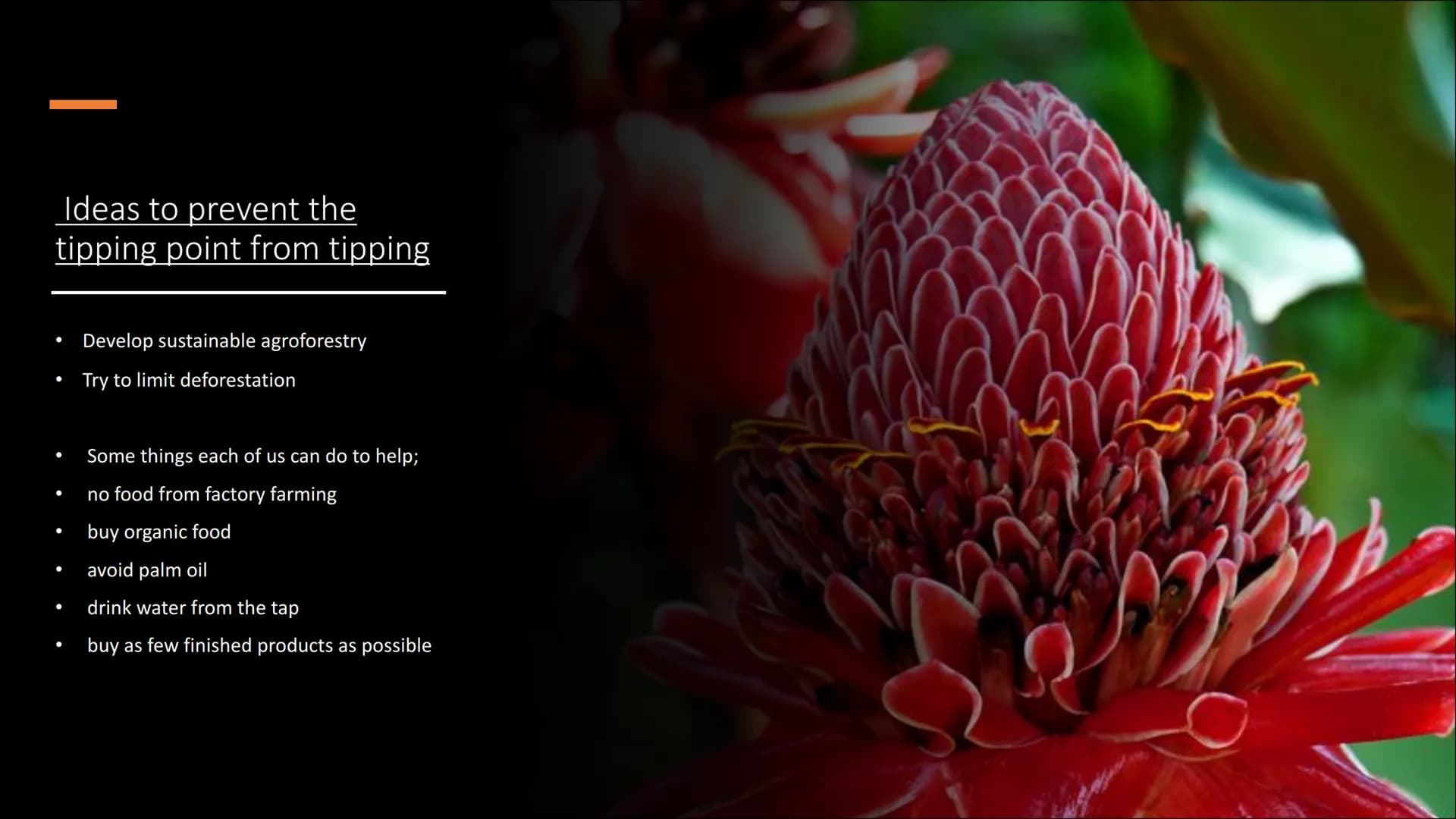 Amazon
rainforest
dieback
One of the nine tipping points that
could be triggered by climate change Table of contents
●
Facts about the tippi