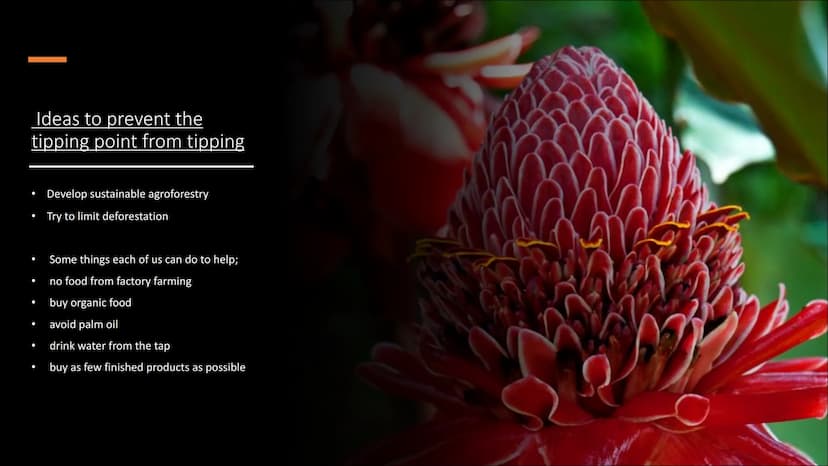 Amazon
rainforest
dieback
One of the nine tipping points that
could be triggered by climate change Table of contents
●
Facts about the tippi