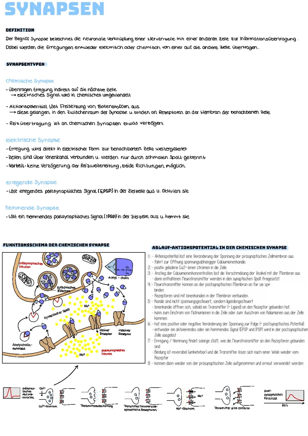 Synapsen in der Neurologie 
