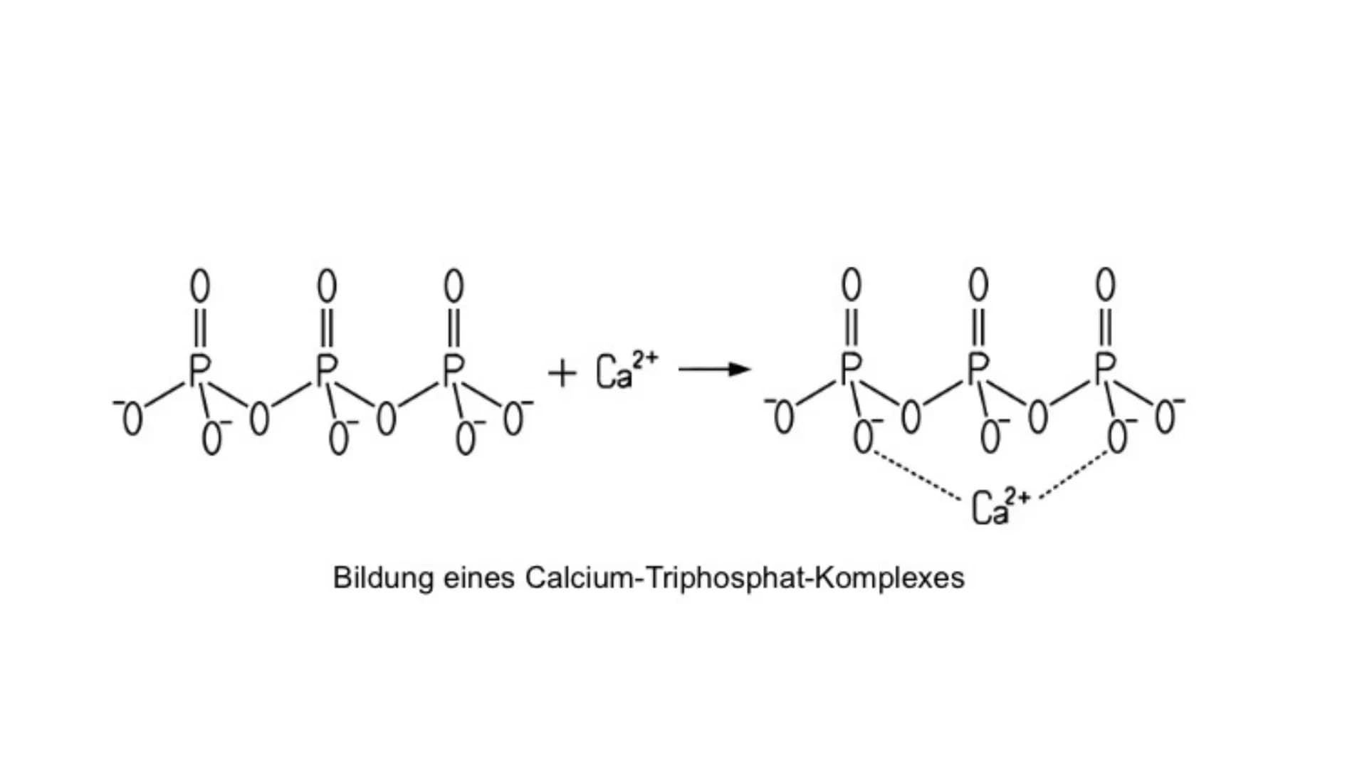 GFS
Waschmittel Zusatzstoffe
Chemie Gliederung
1. Allgemein:
2. Waschmittelzusatzstoffe
- Wasserenthärter
Waschalkalien
Waschenzyme
- Vergra