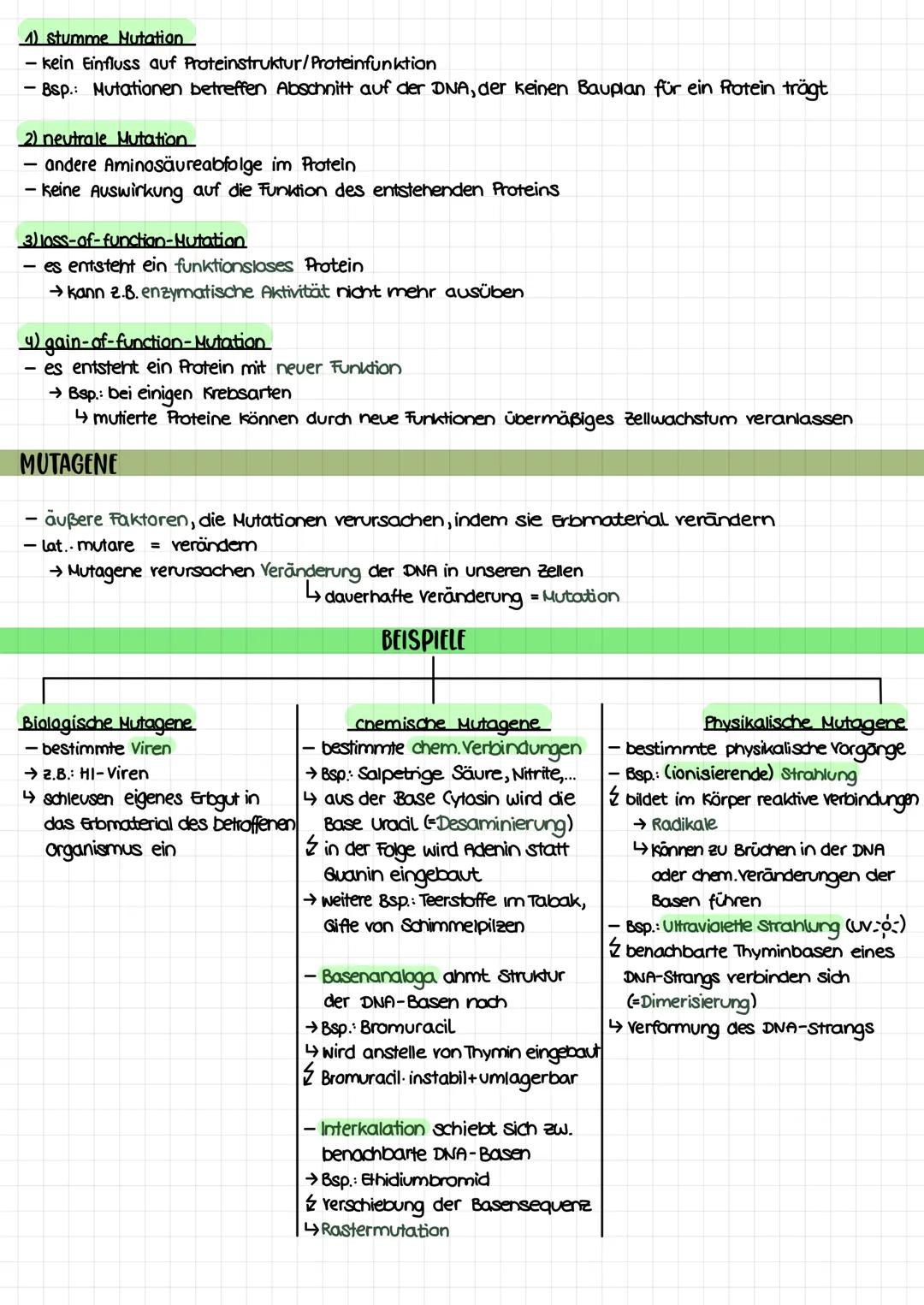 THEMEN
1. Proteinbiosynthese
2. Transkription
3. Translation
Biologie Klausur nr. 2.
→Ort bei Pro- und Eukorayoten
→ Ablauf bei Prokaryoten/