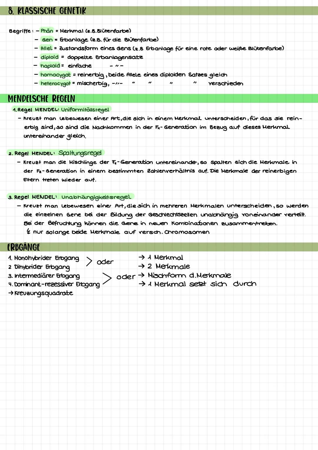 THEMEN
1. Proteinbiosynthese
2. Transkription
3. Translation
Biologie Klausur nr. 2.
→Ort bei Pro- und Eukorayoten
→ Ablauf bei Prokaryoten/