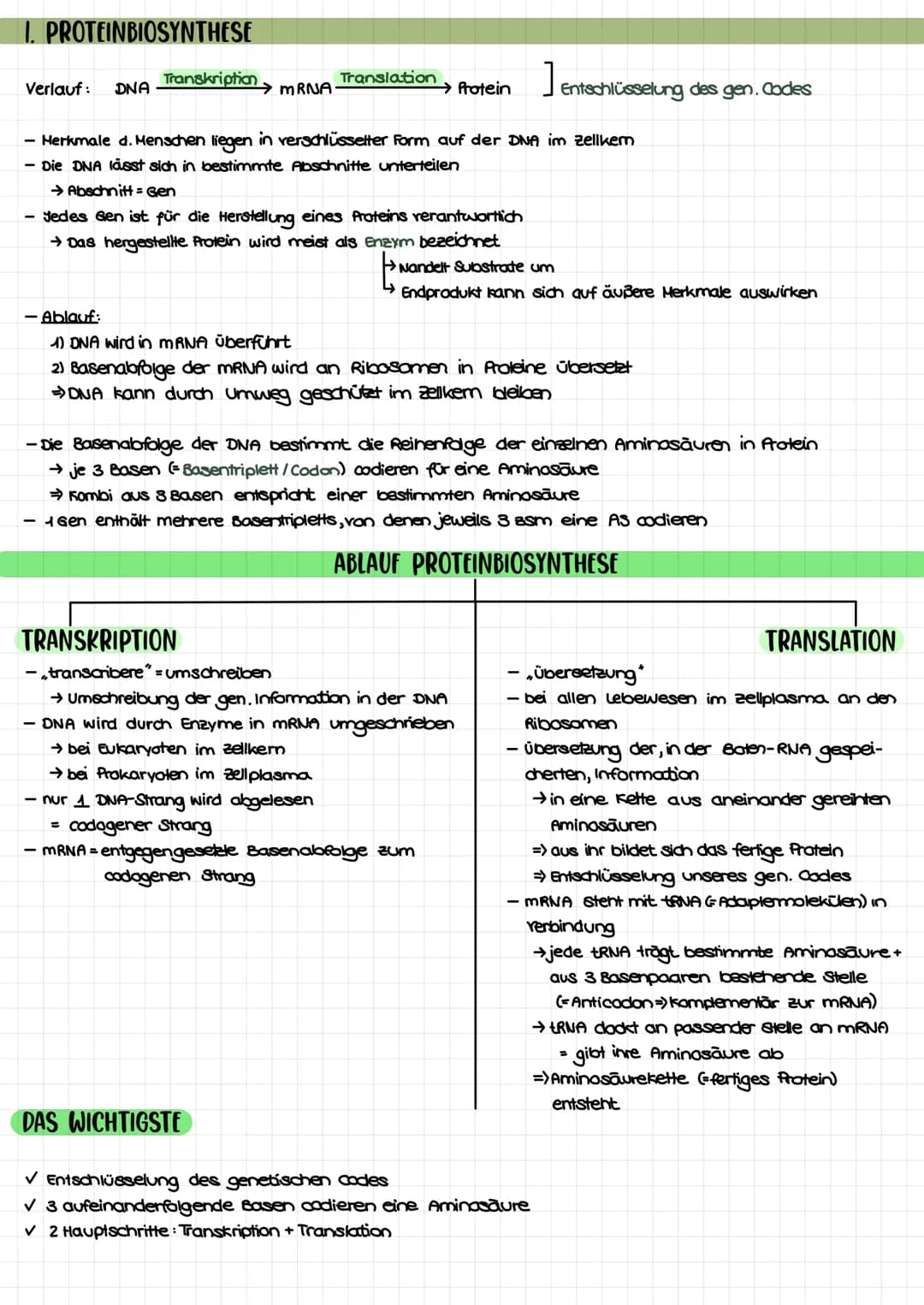 THEMEN
1. Proteinbiosynthese
2. Transkription
3. Translation
Biologie Klausur nr. 2.
→Ort bei Pro- und Eukorayoten
→ Ablauf bei Prokaryoten/