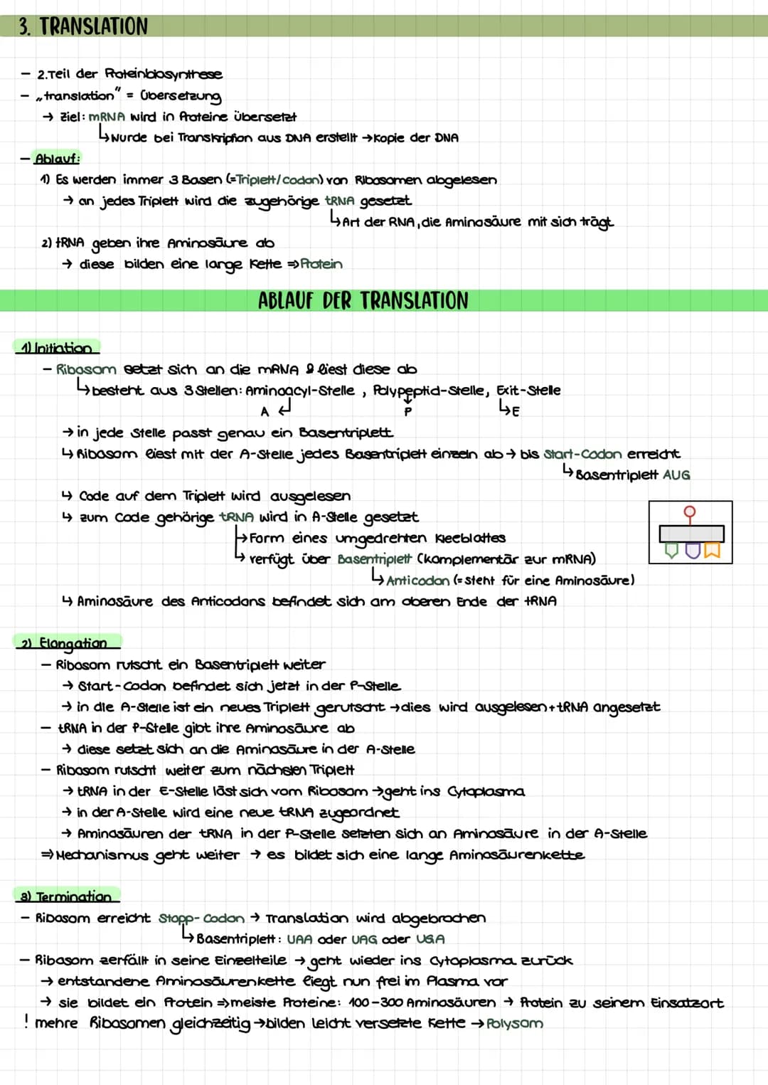 THEMEN
1. Proteinbiosynthese
2. Transkription
3. Translation
Biologie Klausur nr. 2.
→Ort bei Pro- und Eukorayoten
→ Ablauf bei Prokaryoten/