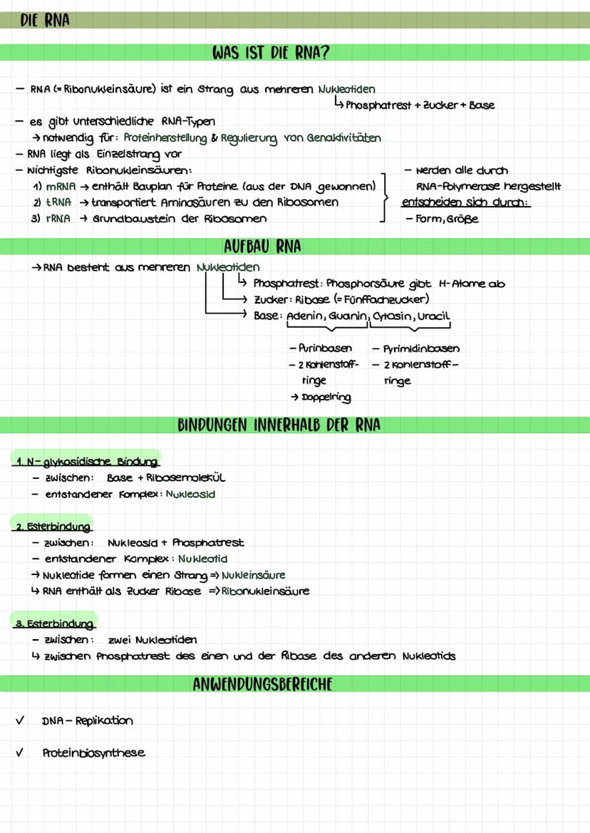 THEMEN
1. Proteinbiosynthese
2. Transkription
3. Translation
Biologie Klausur nr. 2.
→Ort bei Pro- und Eukorayoten
→ Ablauf bei Prokaryoten/