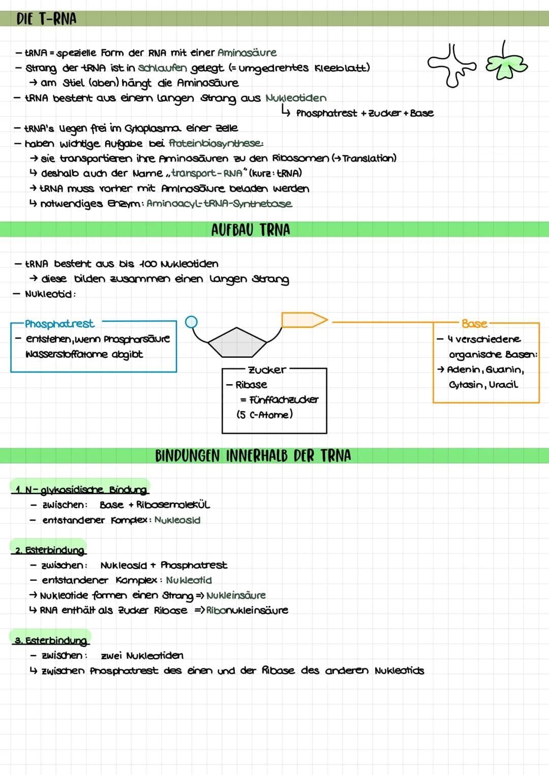 THEMEN
1. Proteinbiosynthese
2. Transkription
3. Translation
Biologie Klausur nr. 2.
→Ort bei Pro- und Eukorayoten
→ Ablauf bei Prokaryoten/