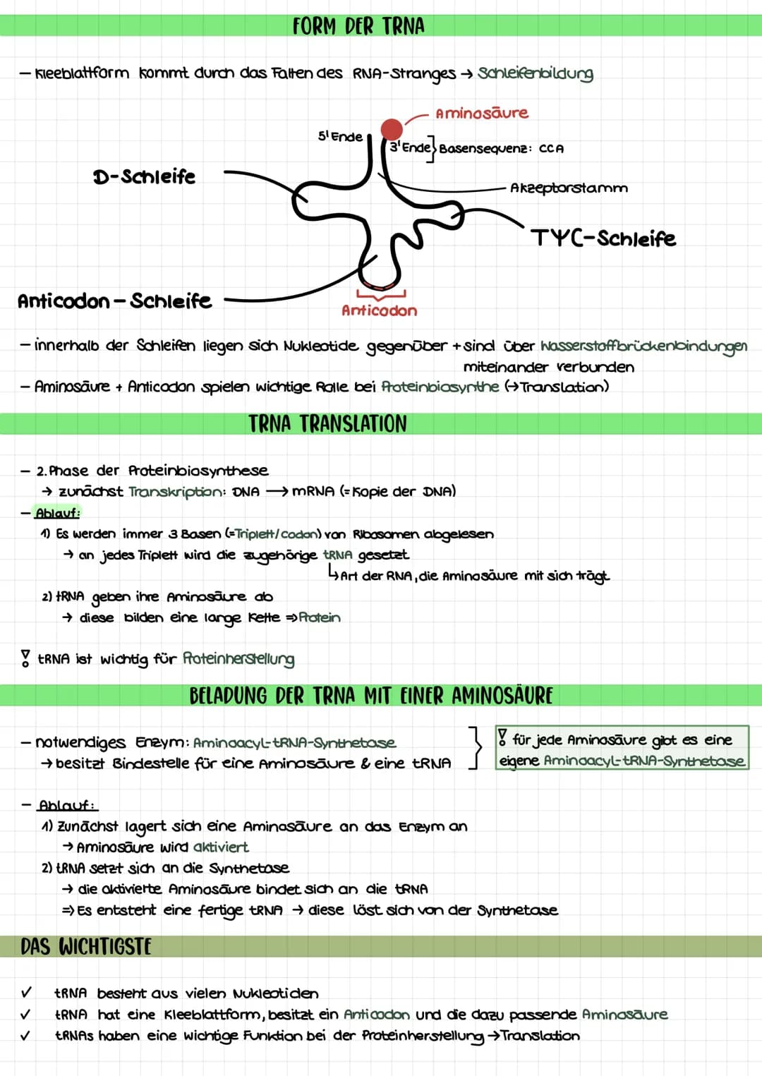 THEMEN
1. Proteinbiosynthese
2. Transkription
3. Translation
Biologie Klausur nr. 2.
→Ort bei Pro- und Eukorayoten
→ Ablauf bei Prokaryoten/