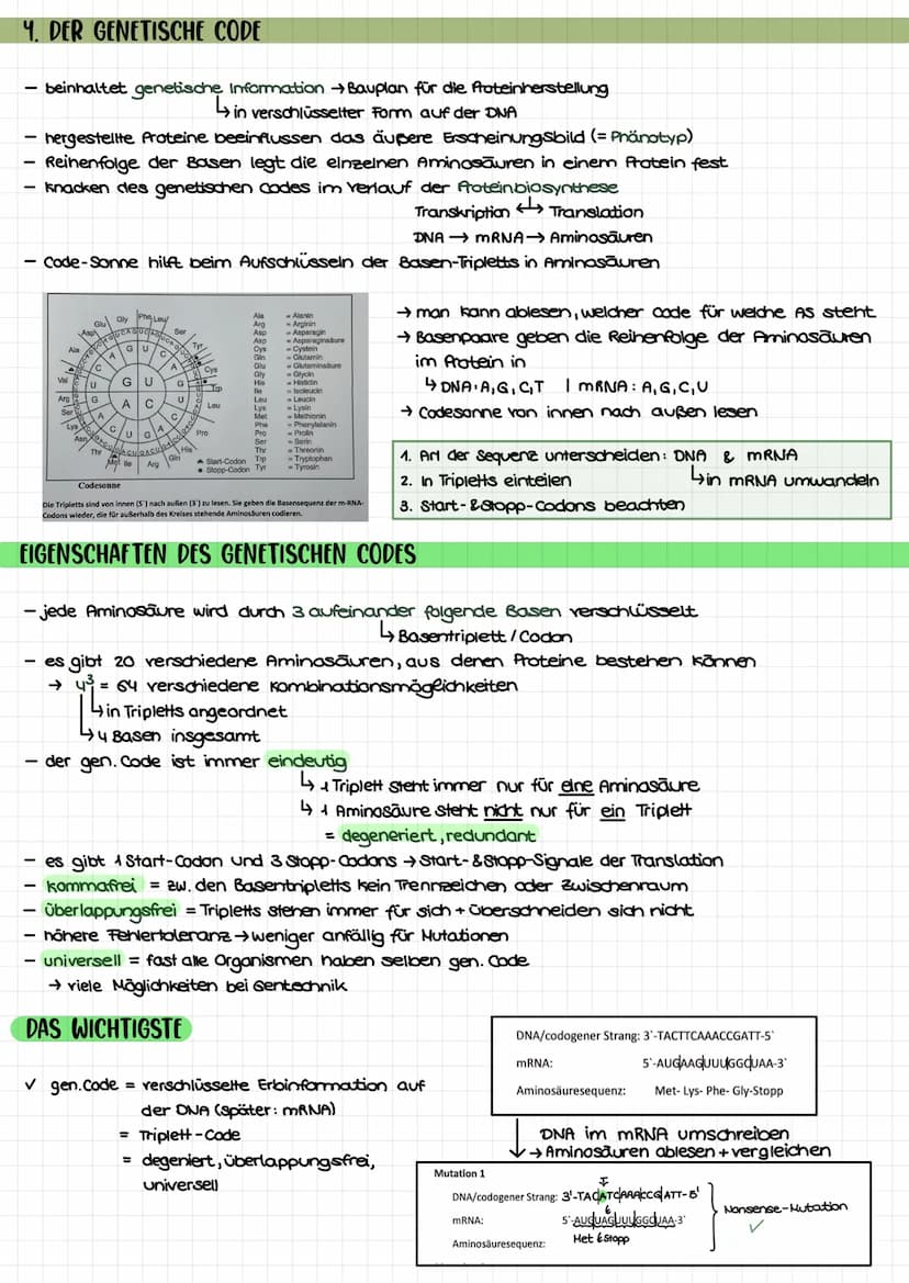 THEMEN
1. Proteinbiosynthese
2. Transkription
3. Translation
Biologie Klausur nr. 2.
→Ort bei Pro- und Eukorayoten
→ Ablauf bei Prokaryoten/