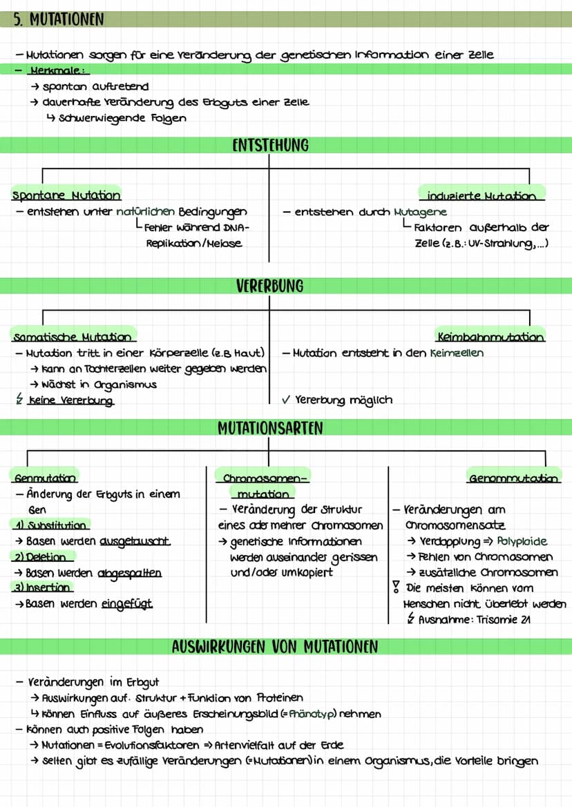 THEMEN
1. Proteinbiosynthese
2. Transkription
3. Translation
Biologie Klausur nr. 2.
→Ort bei Pro- und Eukorayoten
→ Ablauf bei Prokaryoten/
