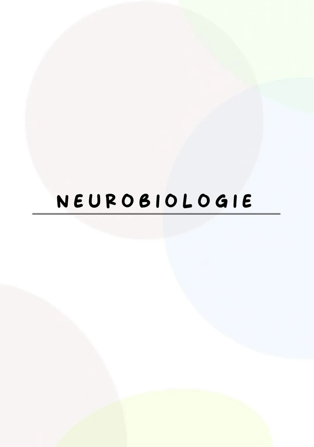NEUROBIOLOGIE Nervenzellen
Bestandteil der
Nervenzelle
Zellkörper
Dendriten
Axon
End knöpfchen
Synapse
Hüllzelle + Schnurring
Nervenfaser
Fu