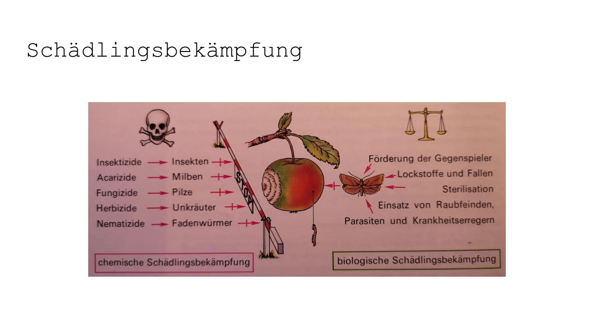 100
صرة
OF
Monokulturen und
Schädlingsbekämpfung
II
4
Zi Paläodithikum (Altsteinzeit)
ca. 2.6 Mio. 10000 v. Chr
Störungen des ökologischen G