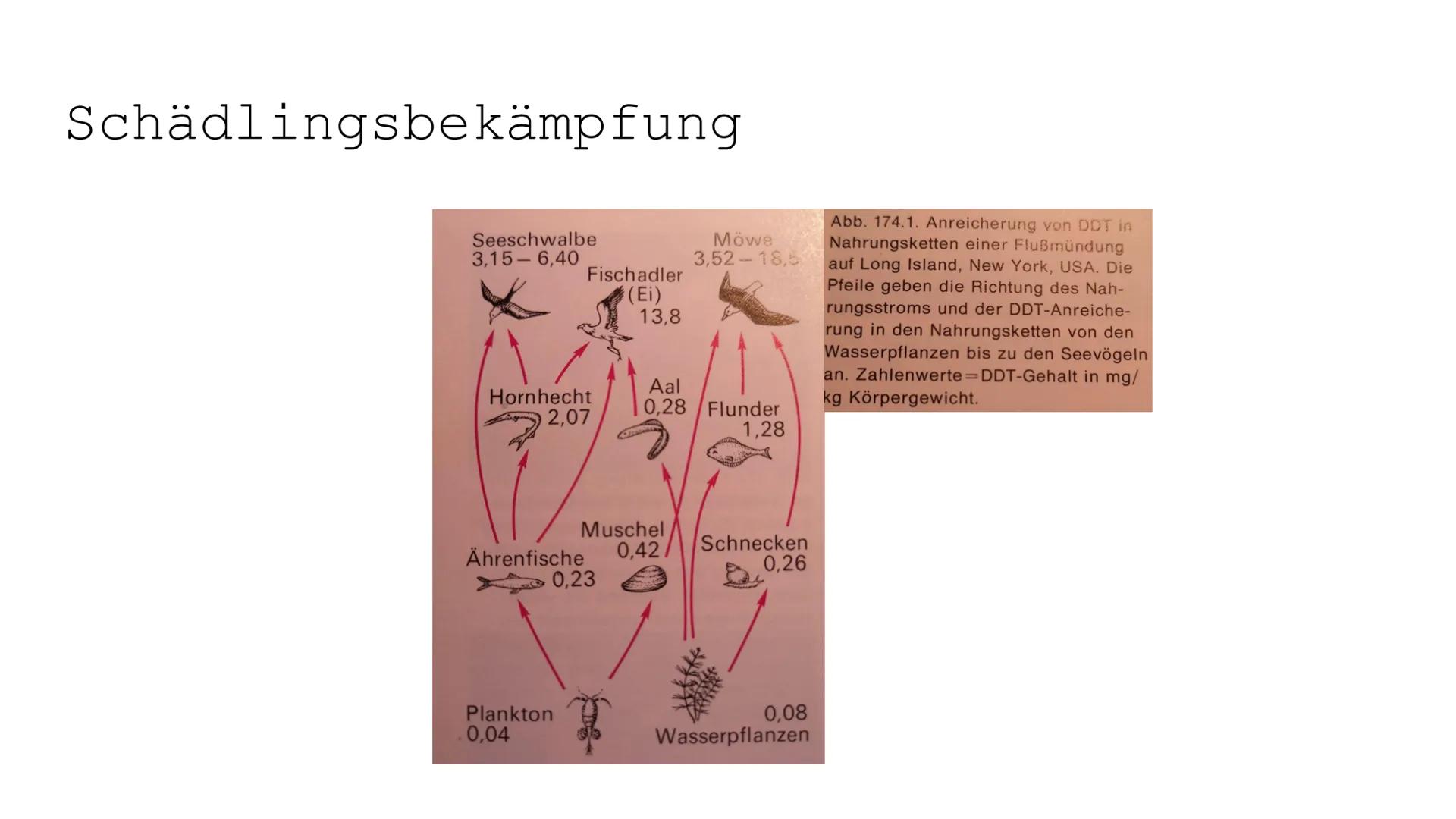 100
صرة
OF
Monokulturen und
Schädlingsbekämpfung
II
4
Zi Paläodithikum (Altsteinzeit)
ca. 2.6 Mio. 10000 v. Chr
Störungen des ökologischen G