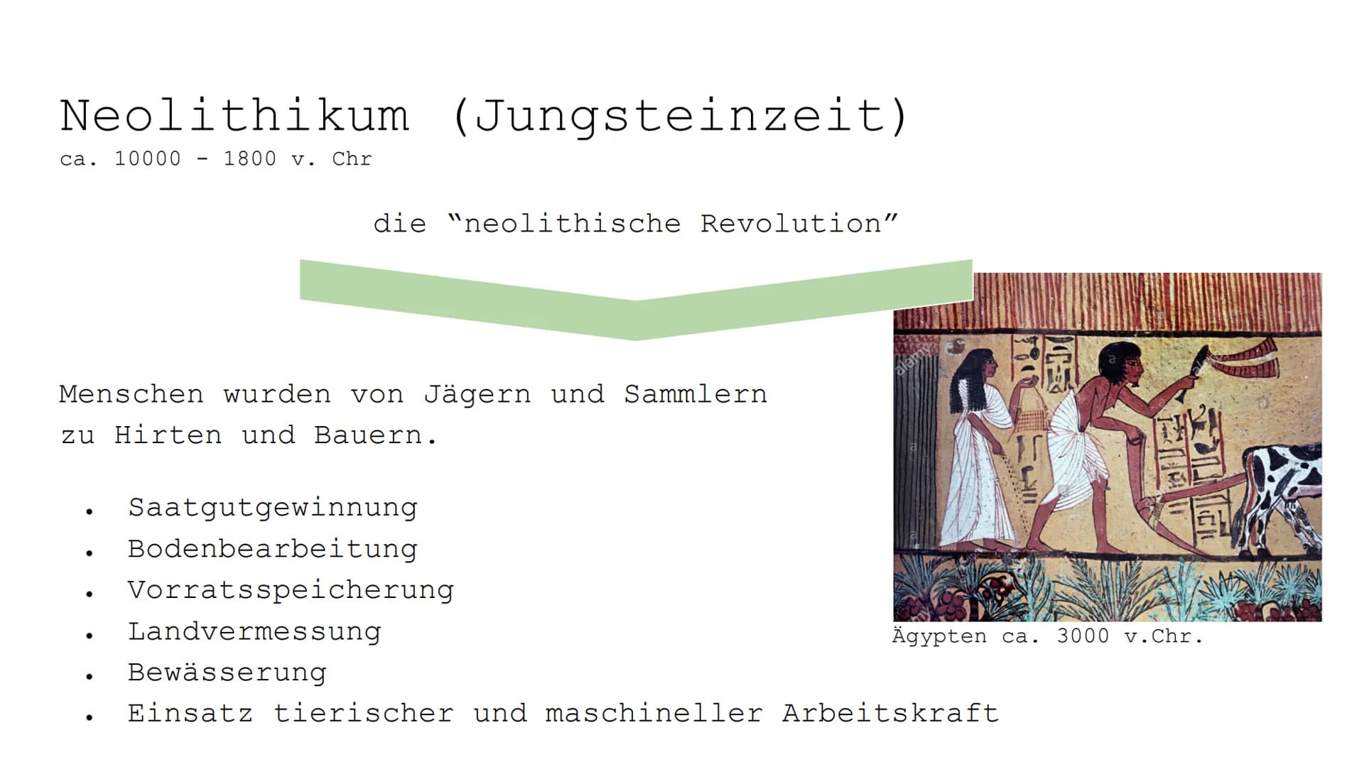 Monokulturen: Vorteile, Nachteile und Beispiele für Kinder
