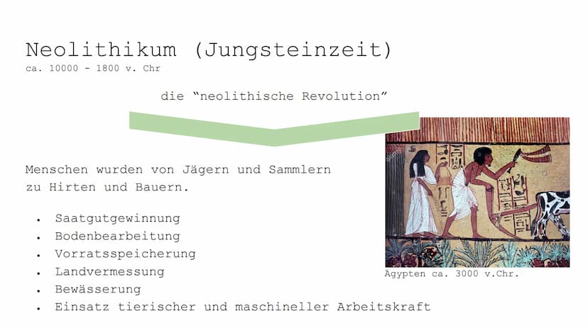 100
صرة
OF
Monokulturen und
Schädlingsbekämpfung
II
4
Zi Paläodithikum (Altsteinzeit)
ca. 2.6 Mio. 10000 v. Chr
Störungen des ökologischen G