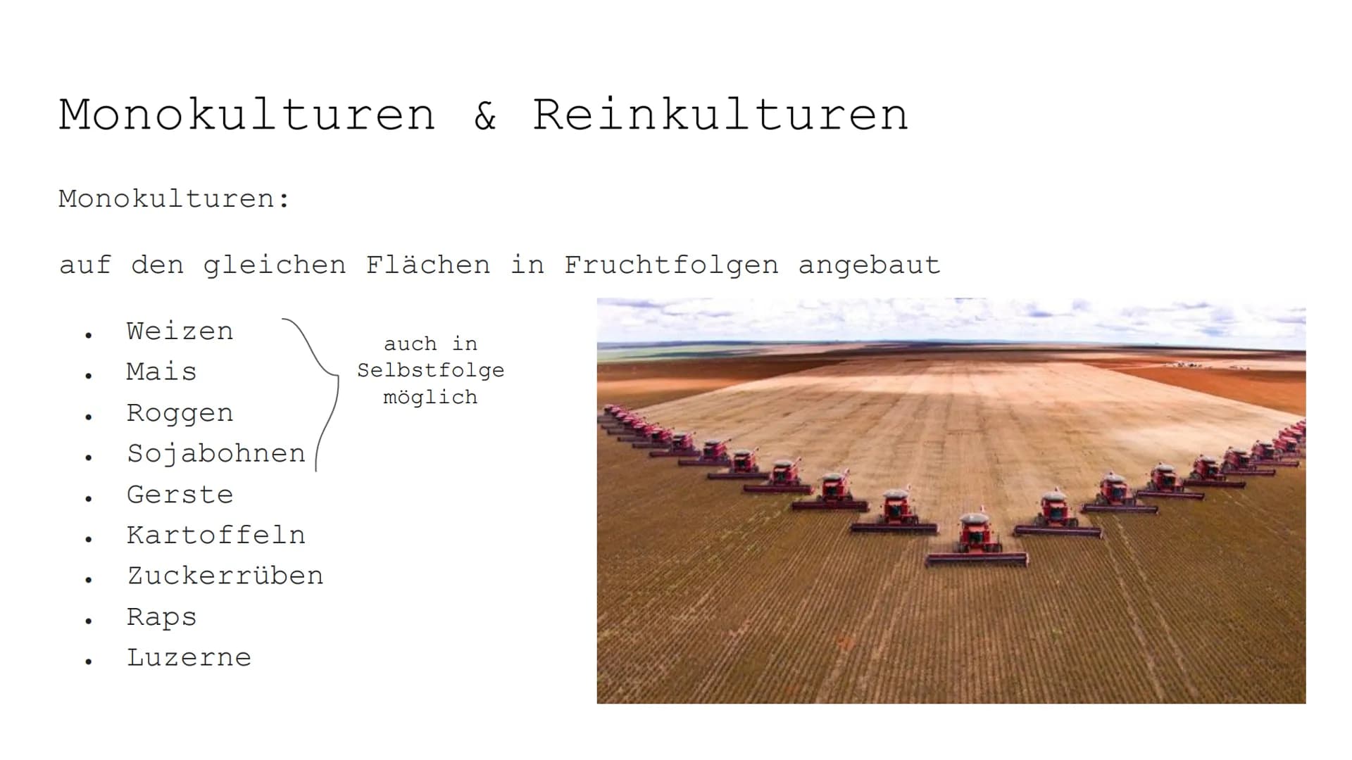 Monokulturen: Vorteile, Nachteile und Beispiele für Kinder
