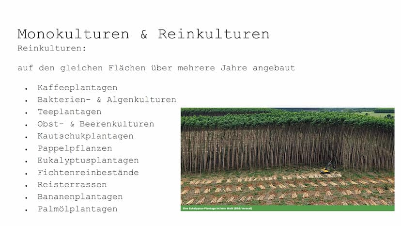 100
صرة
OF
Monokulturen und
Schädlingsbekämpfung
II
4
Zi Paläodithikum (Altsteinzeit)
ca. 2.6 Mio. 10000 v. Chr
Störungen des ökologischen G
