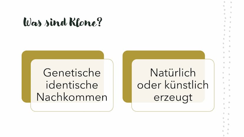 Was sind Klone?
Klone sind genetisch identische Nachkommen, die natürlich oder künstlich erzeugt werden und nicht durch
geschlechtliche Fort