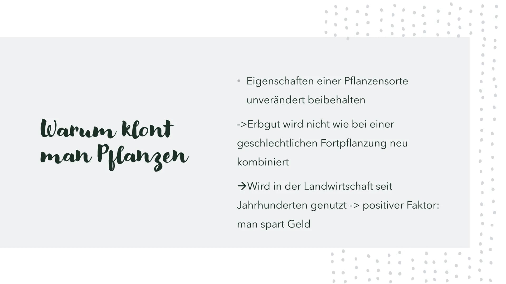 Was sind Klone?
Klone sind genetisch identische Nachkommen, die natürlich oder künstlich erzeugt werden und nicht durch
geschlechtliche Fort