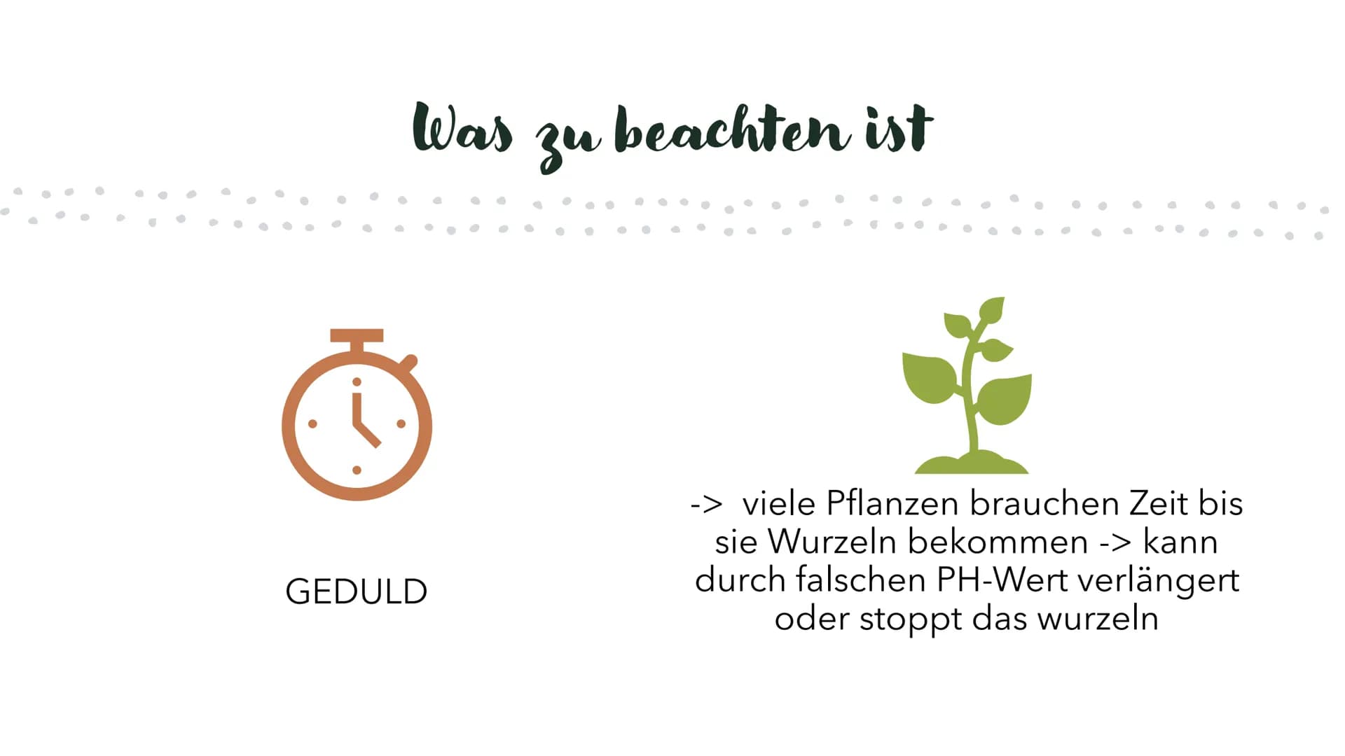 Was sind Klone?
Klone sind genetisch identische Nachkommen, die natürlich oder künstlich erzeugt werden und nicht durch
geschlechtliche Fort