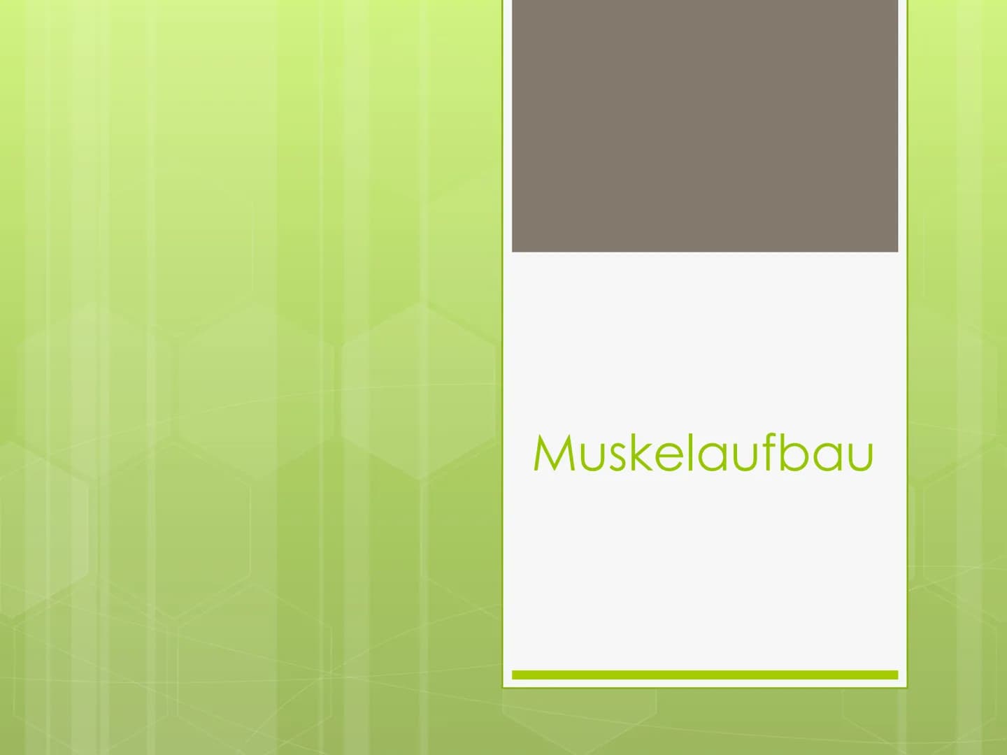 Muskelaufbau Gliederung
● Muskelanatomie
o Muskelaufbau allgemein
o Verschiedene Altersgruppen
o Wann ist der Muskelaufbau
wünschenswert?
Qu