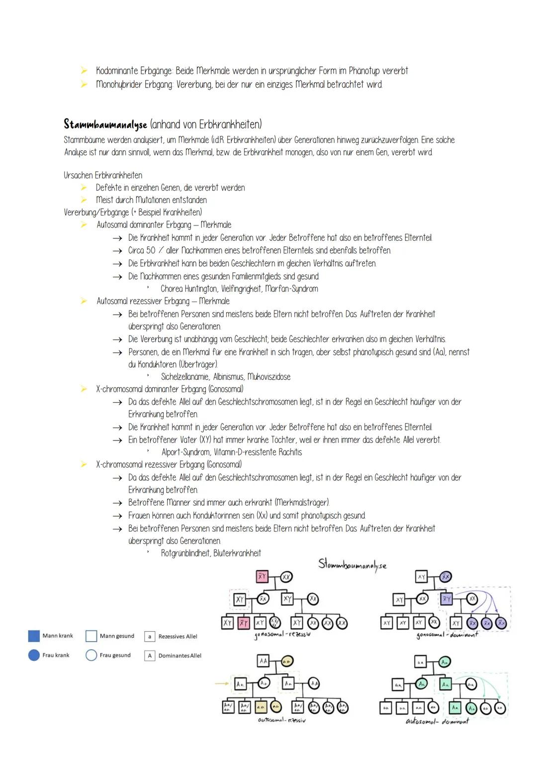 # Vererbung

Der Mensch besitzt 46 Chromosomen, wobei man 44 Autosomen und 2 Gonosomen (Geschlechtschromosomen)
unterscheidet Die Autosomen 
