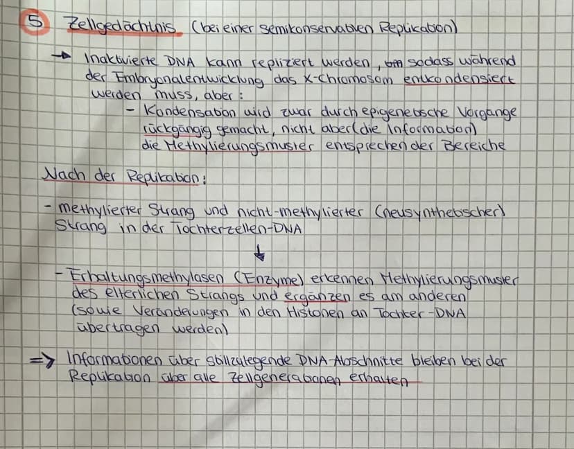 ERGENETIK
2
S
DEFINITION
a
• Diese epigenetischen Modifikationen können durch Umwelt-
einflusse entstehen:
Methyllerung (Modification) von B
