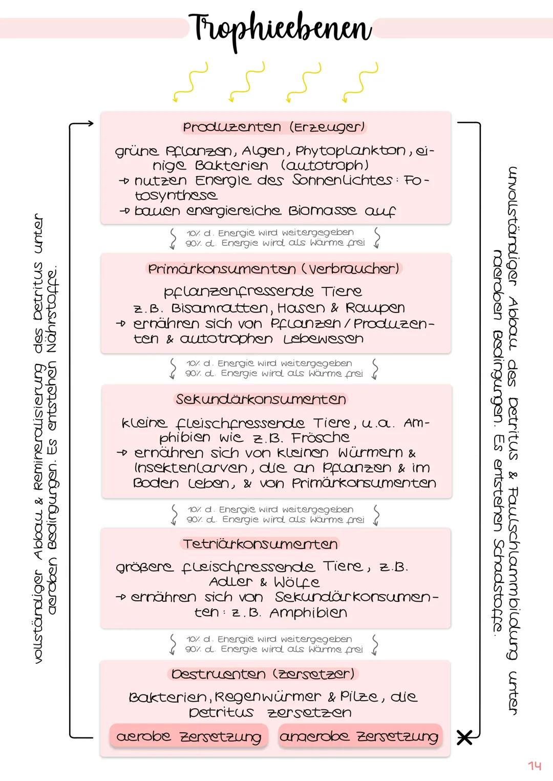 1
POPULATIONSÖKOLOGIE
2.
3.
Biologie
Klausur Ökologie
Populationswachstum
Populationen (S. 1
→ verschiedene Formen des Wachstums IS. 1-2
→ F