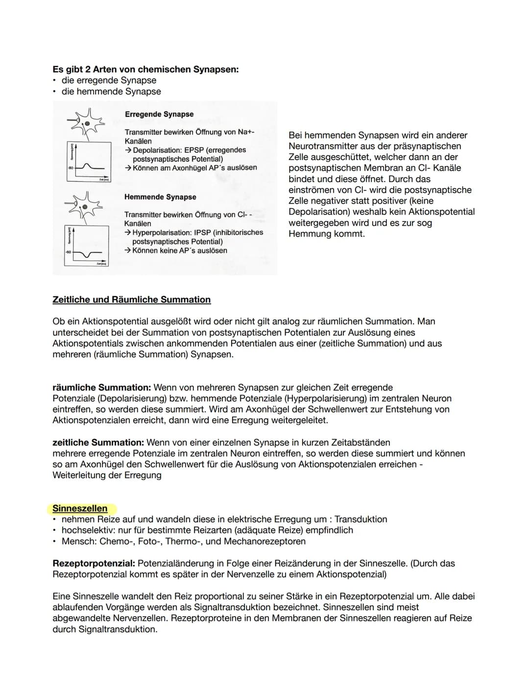 1. Grundlegender Aufbau Nervenzelle
Bio ка 12.1
●
Aufgabe: Beschriften Sie die folgende Abbildung eines Neurons.
Zeichnen einer Nervenzelle
