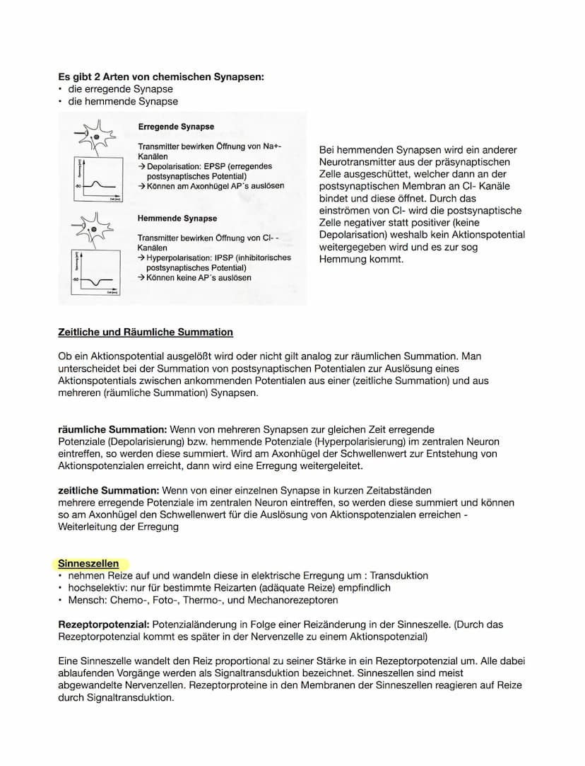 1. Grundlegender Aufbau Nervenzelle
Bio ка 12.1
●
Aufgabe: Beschriften Sie die folgende Abbildung eines Neurons.
Zeichnen einer Nervenzelle
