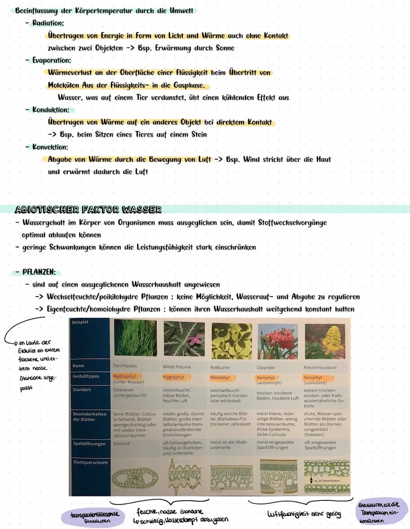 Vitalität (z. B. Wachstum)
BIOLOGIEKLAUSUR NR. 3
Wind
ÖKOLOGIE
Wasser-
verfüg-
barkeit im,
Boden
Luft-
feuchtig-
keit
Kon-
kurrenten,
Lichts
