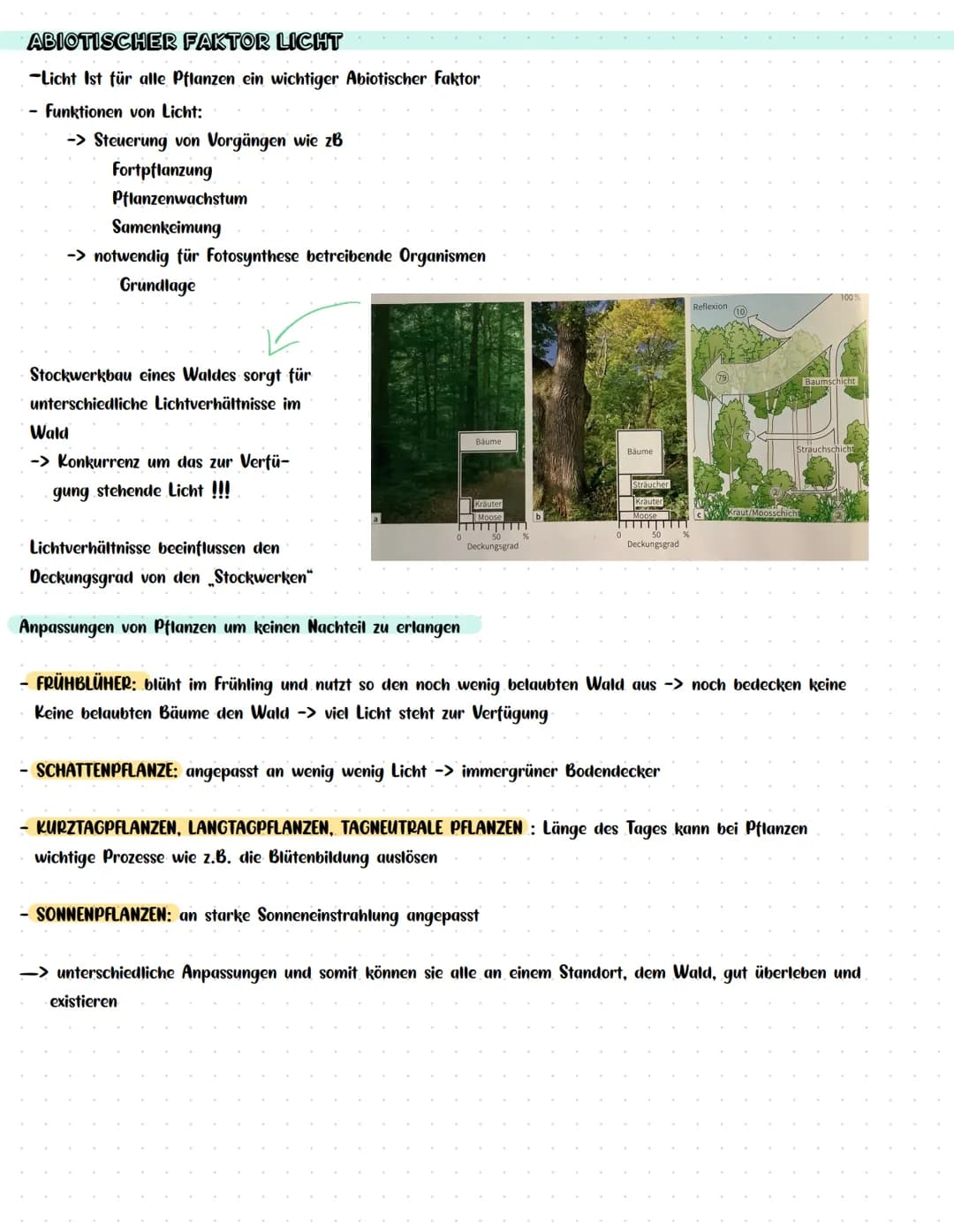 Vitalität (z. B. Wachstum)
BIOLOGIEKLAUSUR NR. 3
Wind
ÖKOLOGIE
Wasser-
verfüg-
barkeit im,
Boden
Luft-
feuchtig-
keit
Kon-
kurrenten,
Lichts