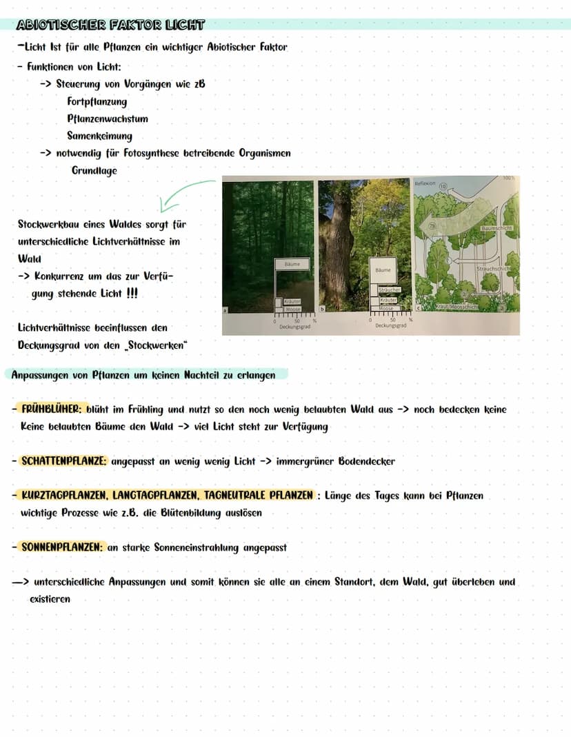Vitalität (z. B. Wachstum)
BIOLOGIEKLAUSUR NR. 3
Wind
ÖKOLOGIE
Wasser-
verfüg-
barkeit im,
Boden
Luft-
feuchtig-
keit
Kon-
kurrenten,
Lichts